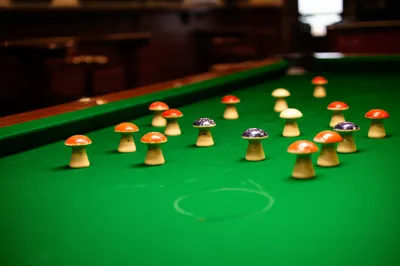 Illustration mushroom - Image 1