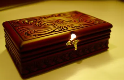 Illustration concealed