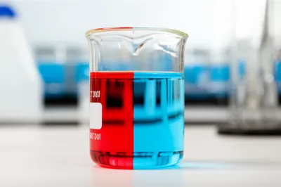 Illustration litmus - Image 1