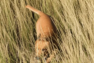 Illustration set - Image 1