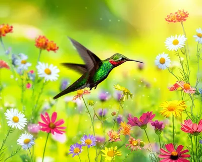 Illustration lighter - Image 1