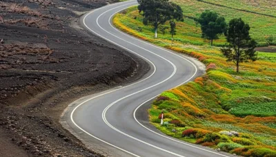 Illustration going - Image 1