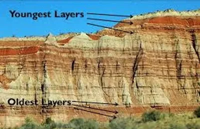 Illustration bedding - Image 3