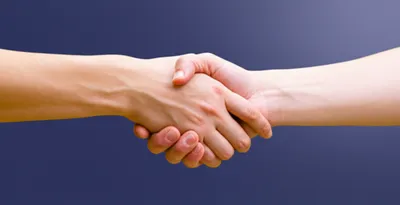 Illustration sell - Image 1