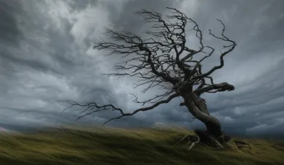 Illustration scowling - Image 1