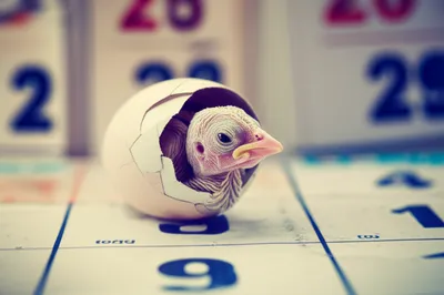 Illustration premature - Image 1