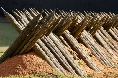 Illustration visuelle du mot « fraises » - Fraise, palissade
