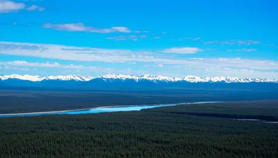 Illustration territory