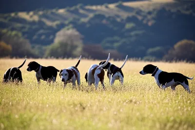 Illustration cast - Image 1