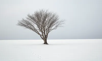 Illustration barer - Image 1