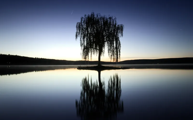 Ilustración visual de la palabra "asleep" - Dormido, durmiente