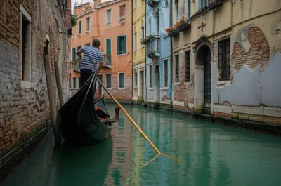 Illustration poling - Image 1