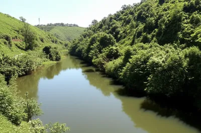 Illustration continence - Image 1