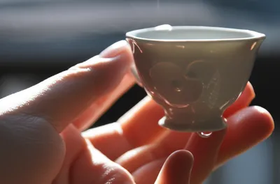 Illustration sipped - Image 1