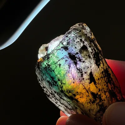 Illustration refine - Image 1