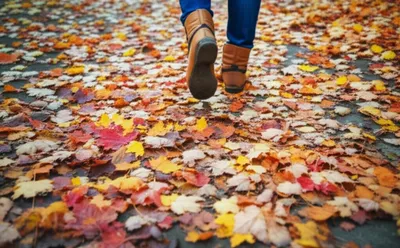 Illustration underfoot - Image 1