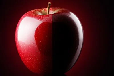 Illustration apparently - Image 1