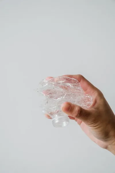 Illustration squashed - Image 2