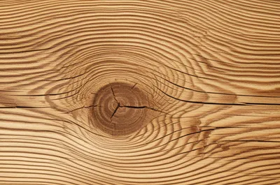 Illustration knots - Image 1