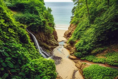 Illustration bunny - Image 1