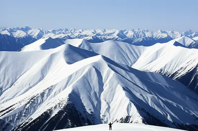 Illustration dwarfing - Image 1