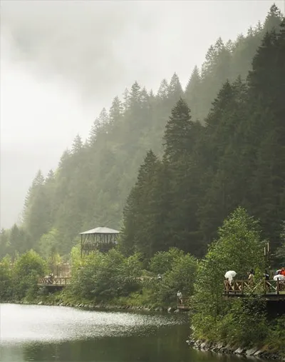 Illustration viewpoints - Image 2