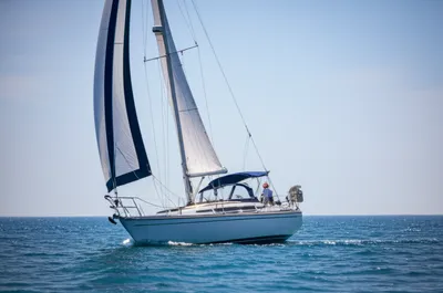 Illustration trimming - Image 1