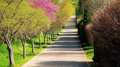 Illustration favored - Image 1