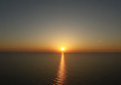 Illustration appearance