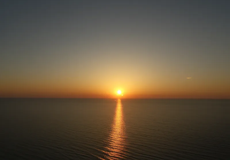 "{appearance}" 단어의 시각적 그림 - 출현, 등장