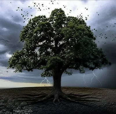 Illustration withstanding - Image 1