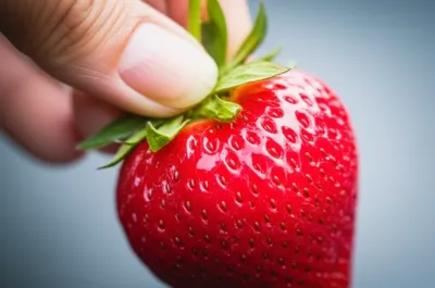 Illustration stemming - Image 1