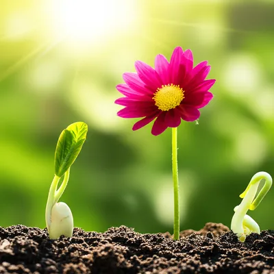 Illustration meaning - Image 1