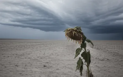 Illustration dispiriting - Image 1