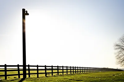 Illustration posts - Image 1