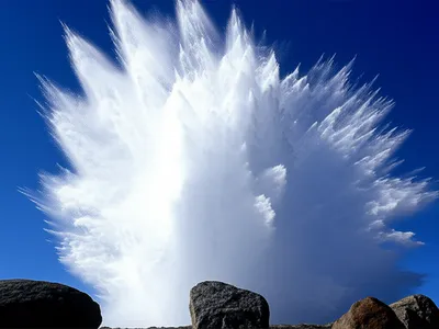 Illustration gush - Image 1