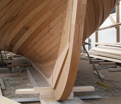 Illustration forefoot - Image 1