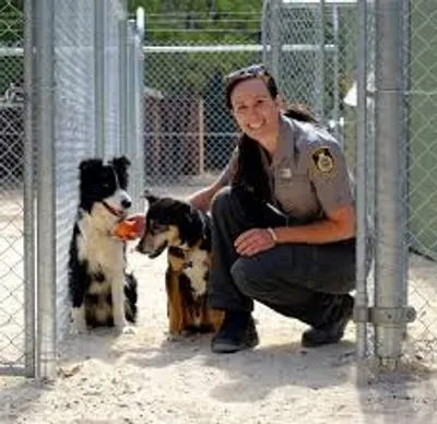 Illustration pound - Image 2