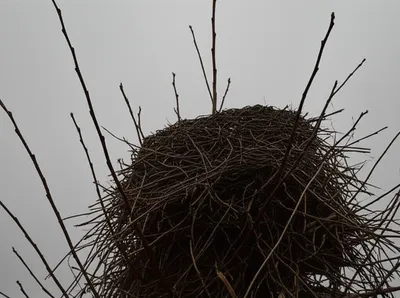 Illustration unprovided - Image 1