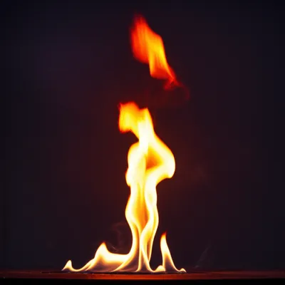 Illustration fan - Image 1