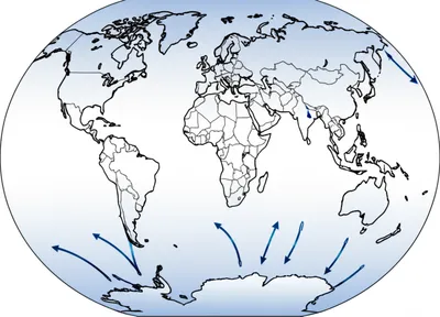 Illustration project - Image 1