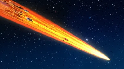 Illustration drake - Image 1