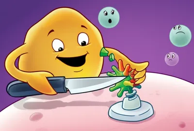 Illustration presentation - Image 1