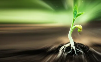 Illustration spurt - Image 1