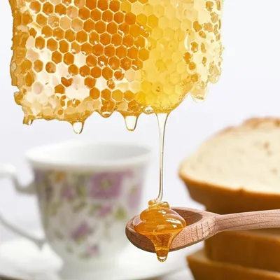 Illustration honeys - Image 1