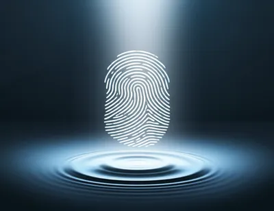 Illustration identification - Image 1