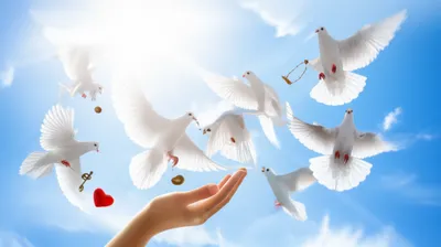 Illustration sending - Image 1