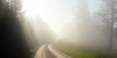 Illustration may - Image 1