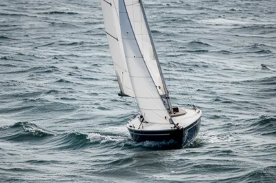 Illustration pitched - Image 1