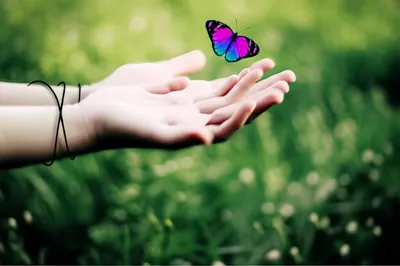 Illustration restrains - Image 1